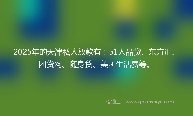 2025年的天津私人放款有：51人品贷、东方汇、团贷网、随身贷、美团生活费等。
