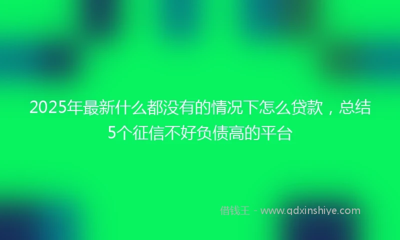 2025年最新什么都没有的情况下怎么贷款，总结5个征信不好负债高的平台
