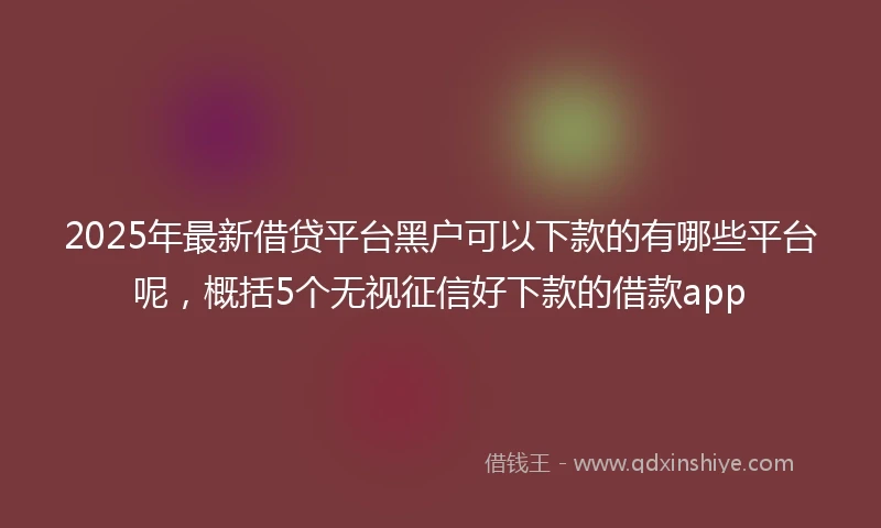 2025年最新借贷平台黑户可以下款的有哪些平台呢，概括5个无视征信好下款的借款app