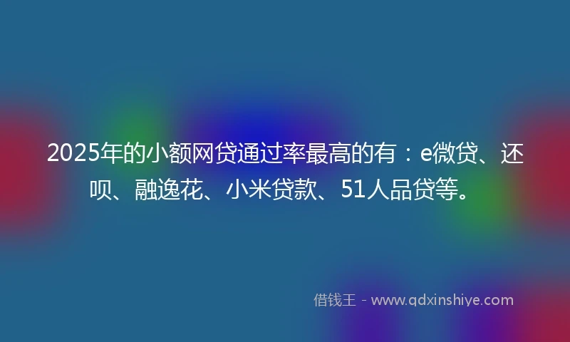 2025年的小额网贷通过率最高的有：e微贷、还呗、融逸花、小米贷款、51人品贷等。
