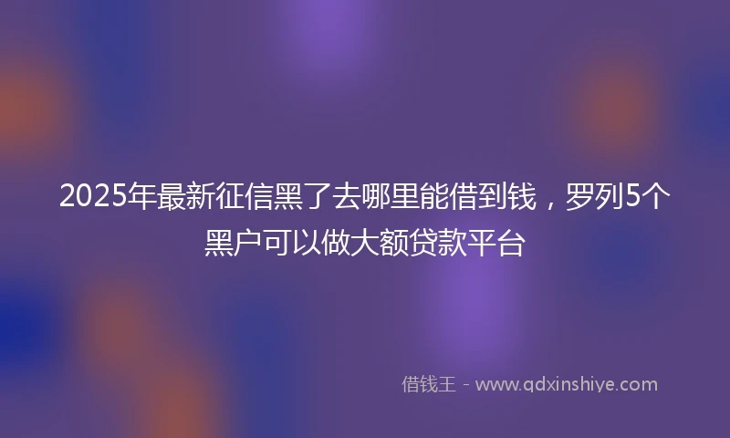 2025年最新征信黑了去哪里能借到钱，罗列5个黑户可以做大额贷款平台