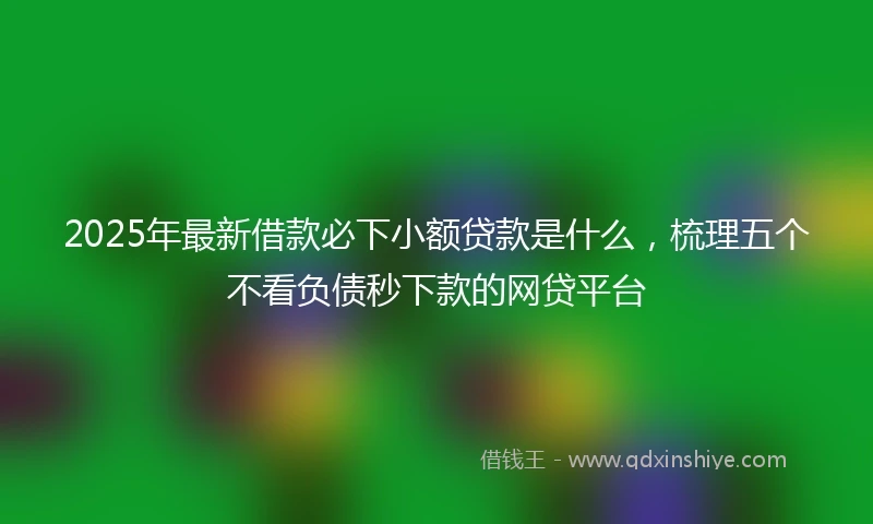 2025年最新借款必下小额贷款是什么，梳理五个不看负债秒下款的网贷平台