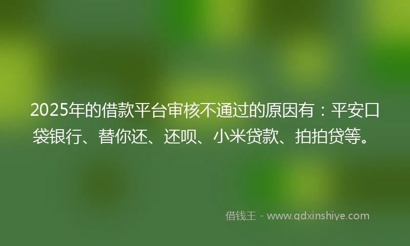 2025年的借款平台审核不通过的原因有：平安口袋银行、替你还、还呗、小米贷款、拍拍贷等。