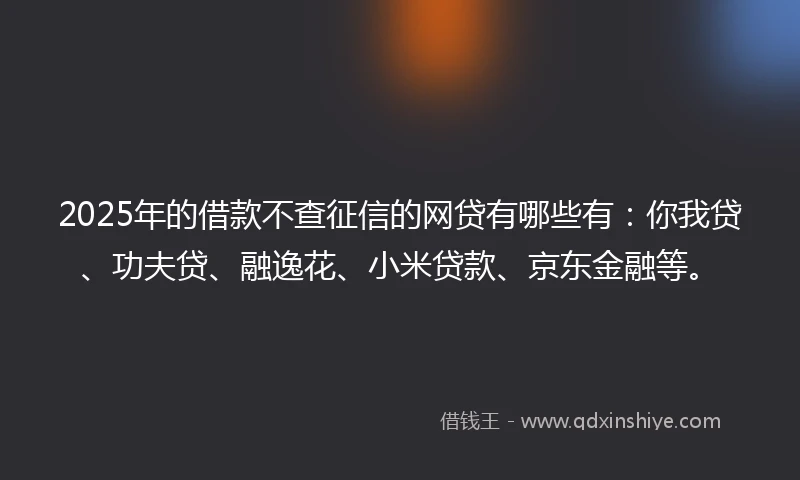 2025年的借款不查征信的网贷有哪些有：你我贷、功夫贷、融逸花、小米贷款、京东金融等。