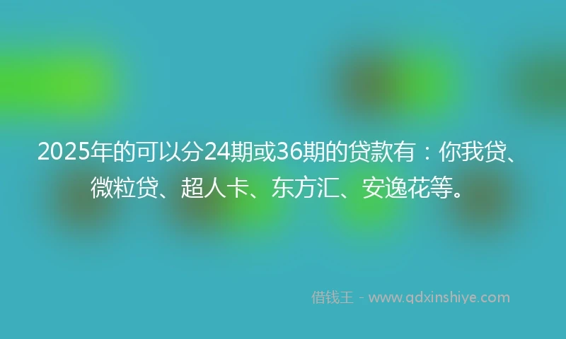 2025年的可以分24期或36期的贷款有：你我贷、微粒贷、超人卡、东方汇、安逸花等。
