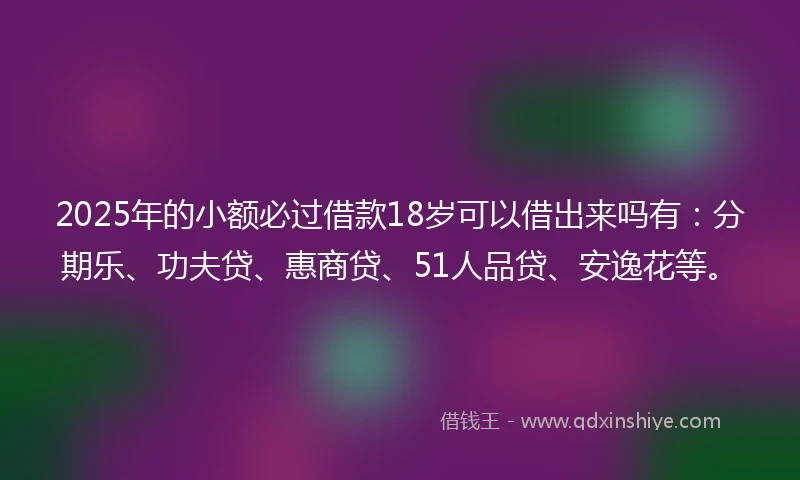 2025年的小额必过借款18岁可以借出来吗有：分期乐、功夫贷、惠商贷、51人品贷、安逸花等。