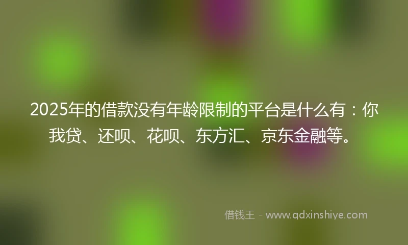 2025年的借款没有年龄限制的平台是什么有：你我贷、还呗、花呗、东方汇、京东金融等。