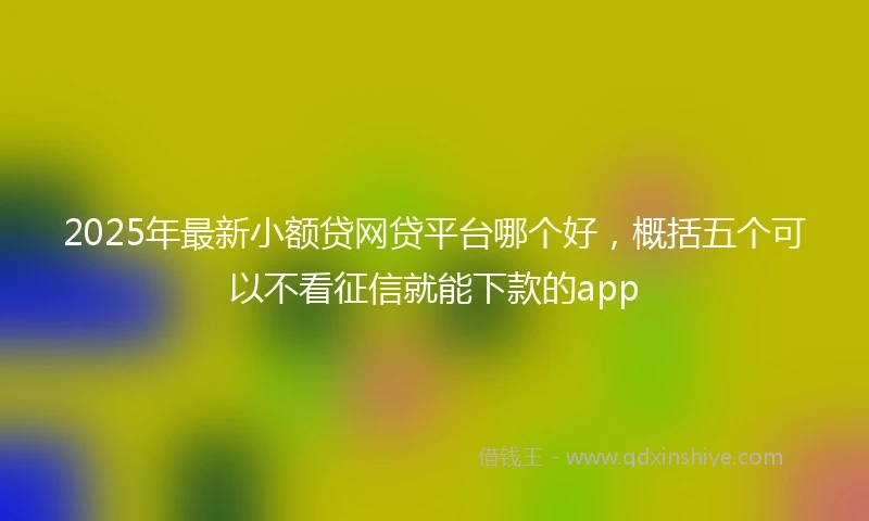2025年最新小额贷网贷平台哪个好，概括五个可以不看征信就能下款的app