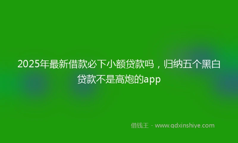 2025年最新借款必下小额贷款吗，归纳五个黑白贷款不是高炮的app