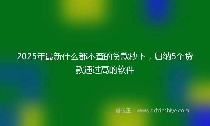 2025年最新什么都不查的贷款秒下，归纳5个贷款通过高的软件