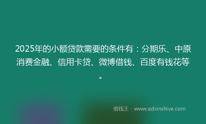 2025年的小额贷款需要的条件有：分期乐、中原消费金融、信用卡贷、微博借钱、百度有钱花等。