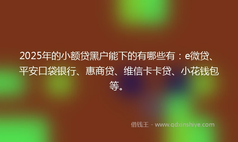 2025年的小额贷黑户能下的有哪些有：e微贷、平安口袋银行、惠商贷、维信卡卡贷、小花钱包等。