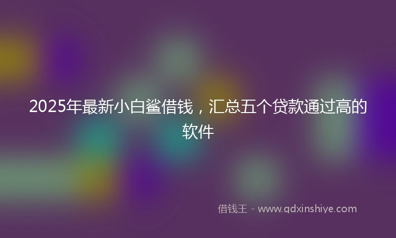 2025年最新小白鲨借钱，汇总五个贷款通过高的软件