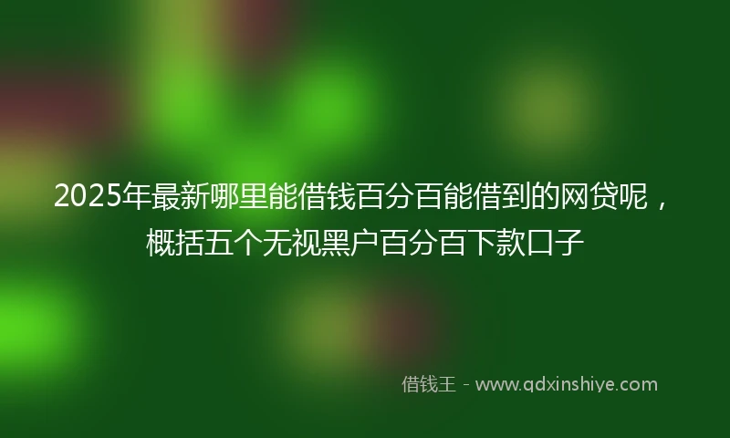 2025年最新哪里能借钱百分百能借到的网贷呢，概括五个无视黑户百分百下款口子