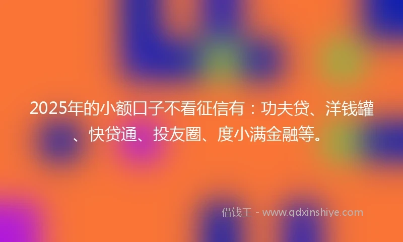 2025年的小额口子不看征信有：功夫贷、洋钱罐、快贷通、投友圈、度小满金融等。