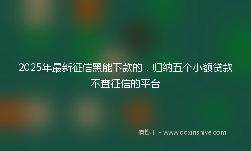 2025年最新征信黑能下款的，归纳五个小额贷款不查征信的平台