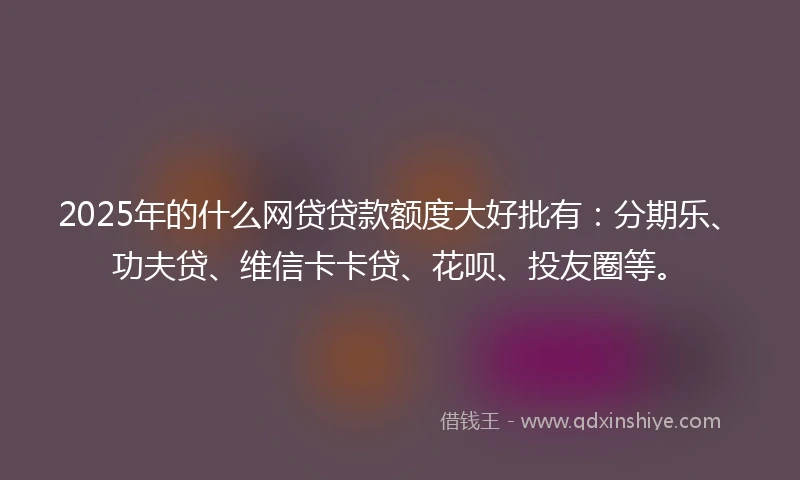 2025年的什么网贷贷款额度大好批有：分期乐、功夫贷、维信卡卡贷、花呗、投友圈等。