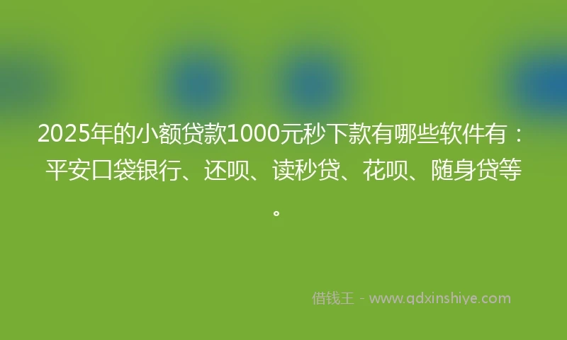 2025年的小额贷款1000元秒下款有哪些软件有：平安口袋银行、还呗、读秒贷、花呗、随身贷等。