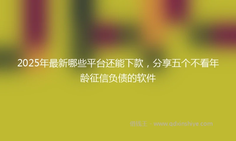 2025年最新哪些平台还能下款，分享五个不看年龄征信负债的软件