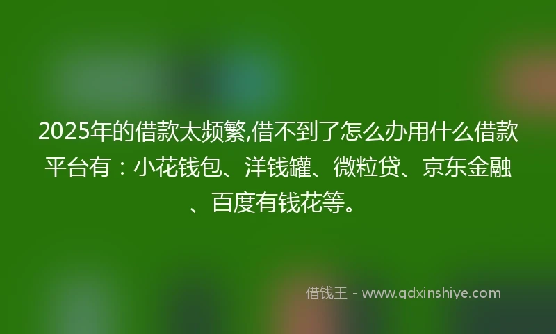 2025年的借款太频繁,借不到了怎么办用什么借款平台有：小花钱包、洋钱罐、微粒贷、京东金融、百度有钱花等。