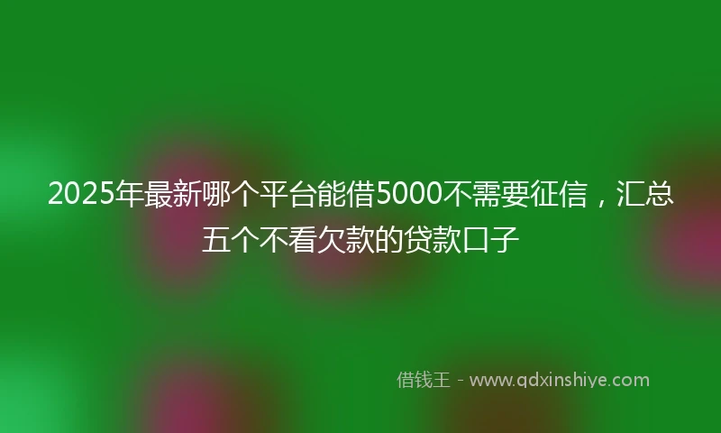 2025年最新哪个平台能借5000不需要征信，汇总五个不看欠款的贷款口子