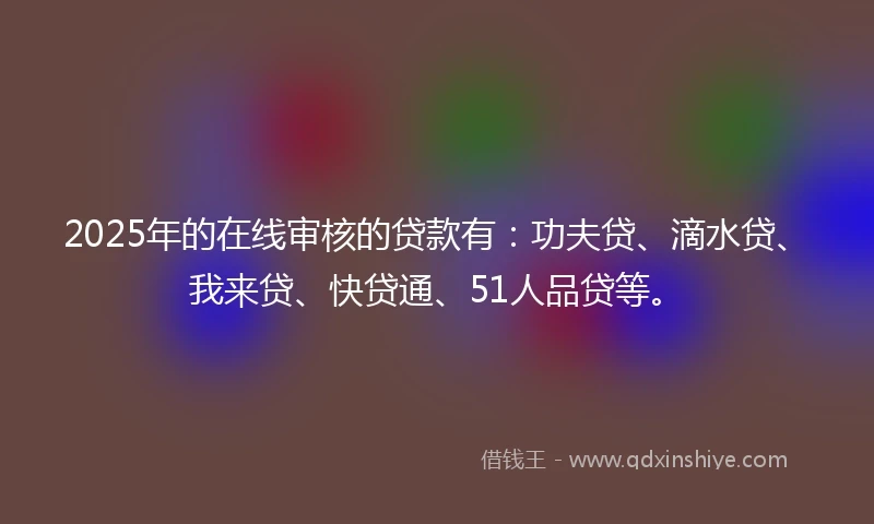 2025年的在线审核的贷款有：功夫贷、滴水贷、我来贷、快贷通、51人品贷等。