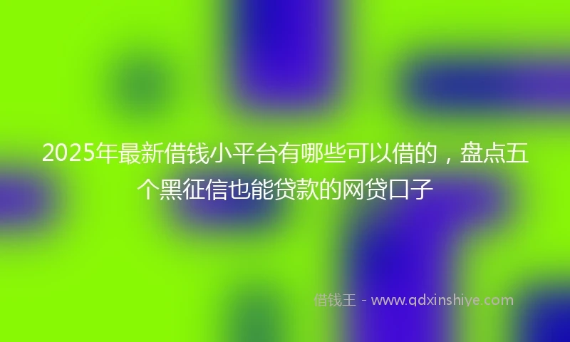 2025年最新借钱小平台有哪些可以借的，盘点五个黑征信也能贷款的网贷口子