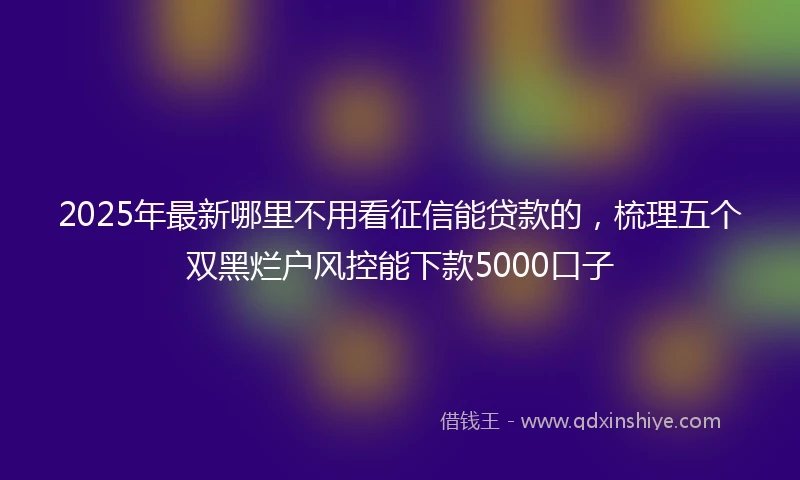 2025年最新哪里不用看征信能贷款的，梳理五个双黑烂户风控能下款5000口子