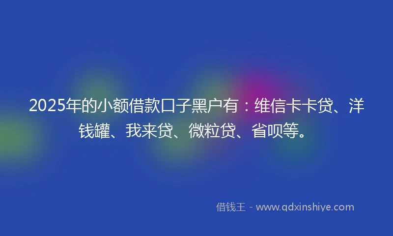 2025年的小额借款口子黑户有：维信卡卡贷、洋钱罐、我来贷、微粒贷、省呗等。
