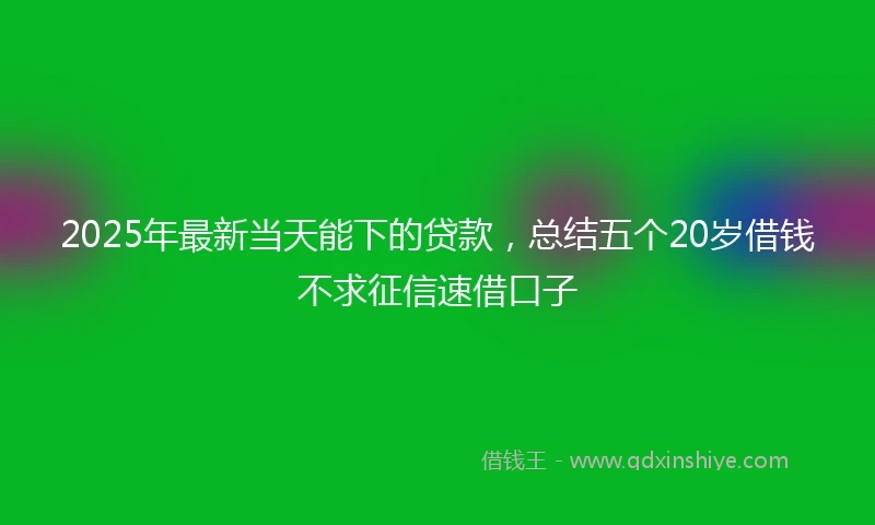 2025年最新当天能下的贷款，总结五个20岁借钱不求征信速借口子