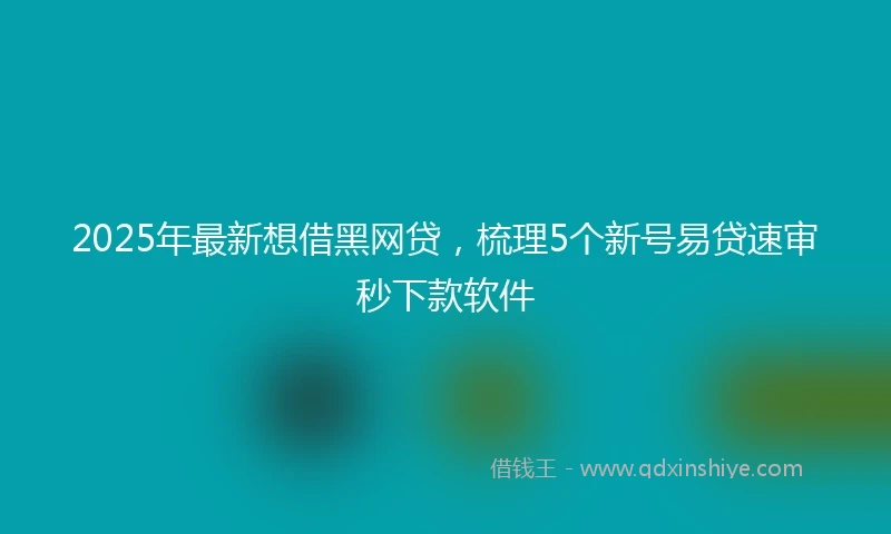 2025年最新想借黑网贷，梳理5个新号易贷速审秒下款软件