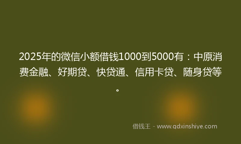 2025年的微信小额借钱1000到5000有：中原消费金融、好期贷、快贷通、信用卡贷、随身贷等。
