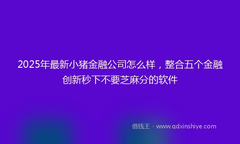 2025年最新小猪金融公司怎么样，整合五个金融创新秒下不要芝麻分的软件