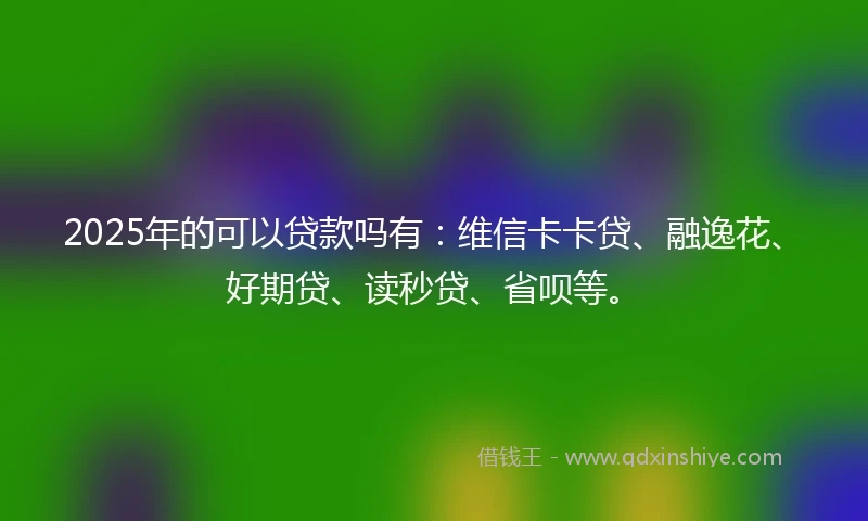 2025年的可以贷款吗有：维信卡卡贷、融逸花、好期贷、读秒贷、省呗等。