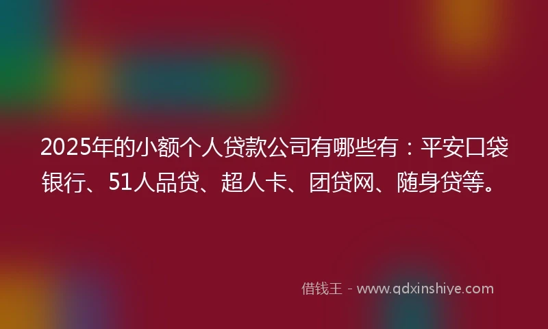 2025年的小额个人贷款公司有哪些有：平安口袋银行、51人品贷、超人卡、团贷网、随身贷等。