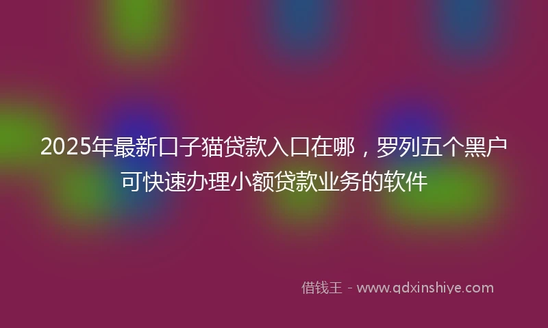 2025年最新口子猫贷款入口在哪，罗列五个黑户可快速办理小额贷款业务的软件