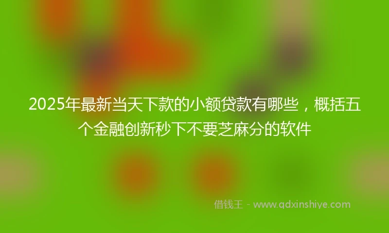 2025年最新当天下款的小额贷款有哪些，概括五个金融创新秒下不要芝麻分的软件