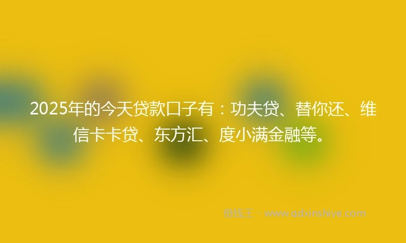 2025年的今天贷款口子有：功夫贷、替你还、维信卡卡贷、东方汇、度小满金融等。