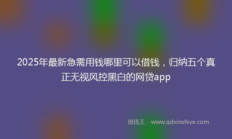 2025年最新急需用钱哪里可以借钱，归纳五个真正无视风控黑白的网贷app