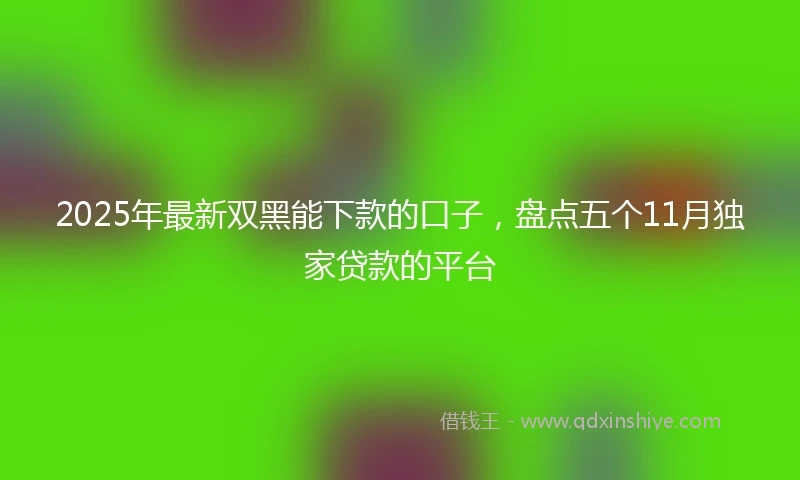 2025年最新双黑能下款的口子，盘点五个11月独家贷款的平台