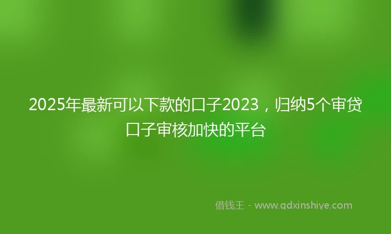 2025年最新可以下款的口子2023，归纳5个审贷口子审核加快的平台