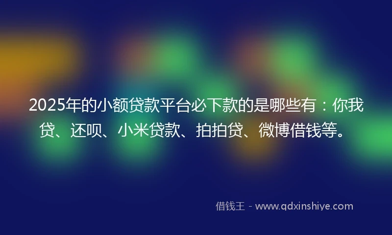 2025年的小额贷款平台必下款的是哪些有：你我贷、还呗、小米贷款、拍拍贷、微博借钱等。