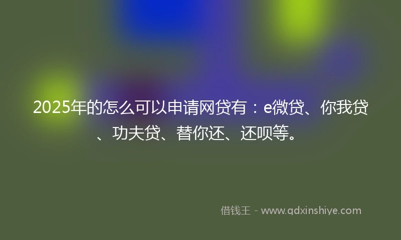 2025年的怎么可以申请网贷有：e微贷、你我贷、功夫贷、替你还、还呗等。