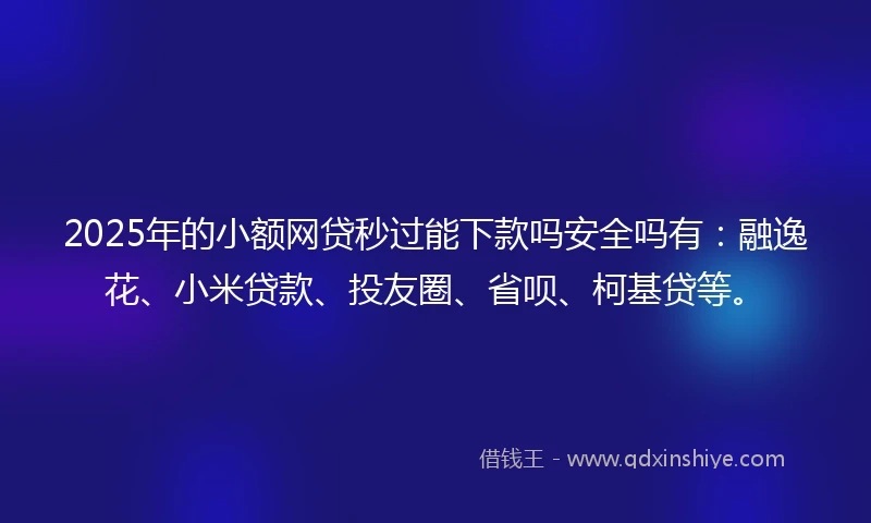 2025年的小额网贷秒过能下款吗安全吗有：融逸花、小米贷款、投友圈、省呗、柯基贷等。