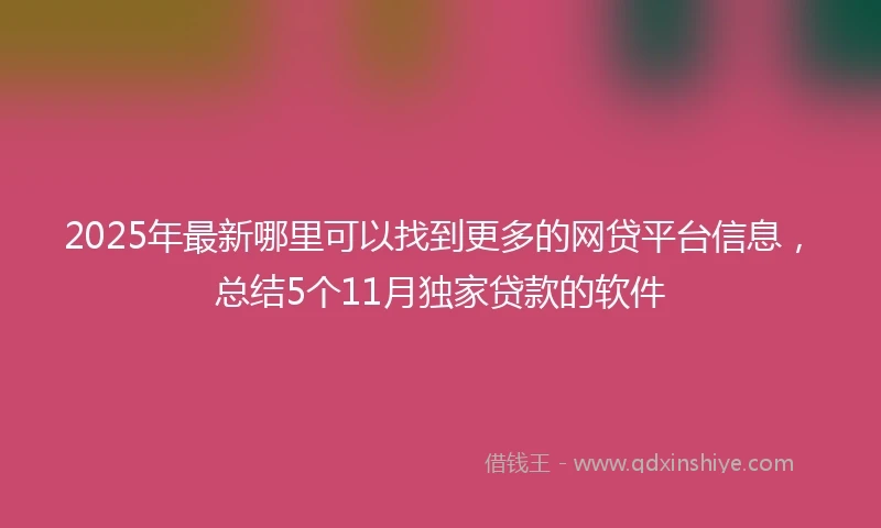 2025年最新哪里可以找到更多的网贷平台信息，总结5个11月独家贷款的软件