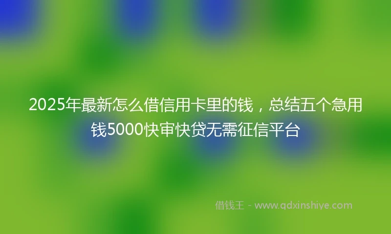 2025年最新怎么借信用卡里的钱，总结五个急用钱5000快审快贷无需征信平台