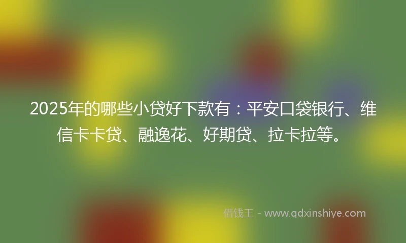 2025年的哪些小贷好下款有：平安口袋银行、维信卡卡贷、融逸花、好期贷、拉卡拉等。