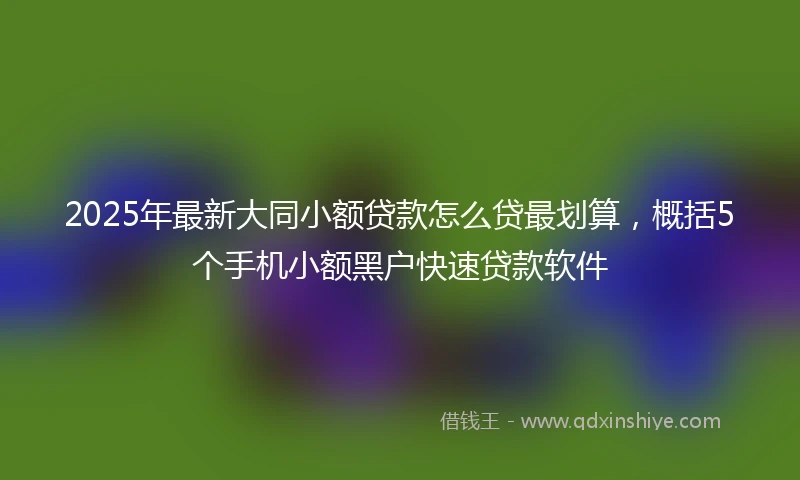 2025年最新大同小额贷款怎么贷最划算，概括5个手机小额黑户快速贷款软件