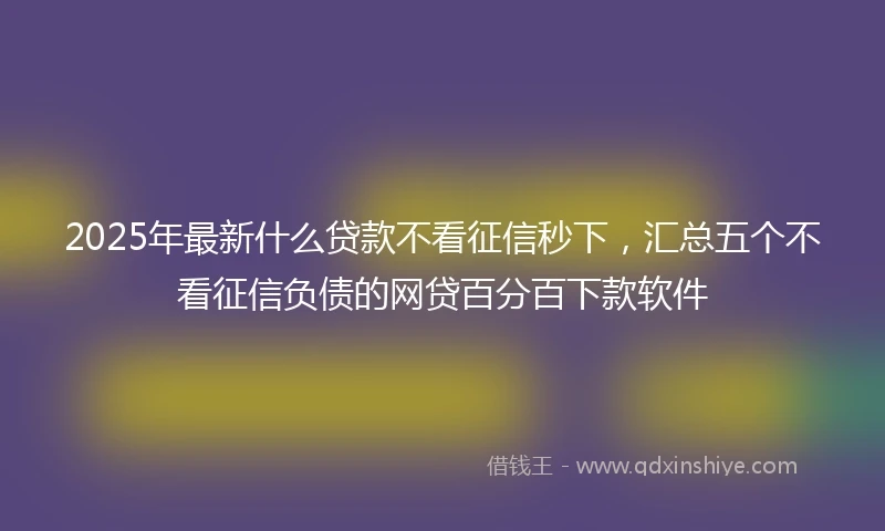 2025年最新什么贷款不看征信秒下，汇总五个不看征信负债的网贷百分百下款软件