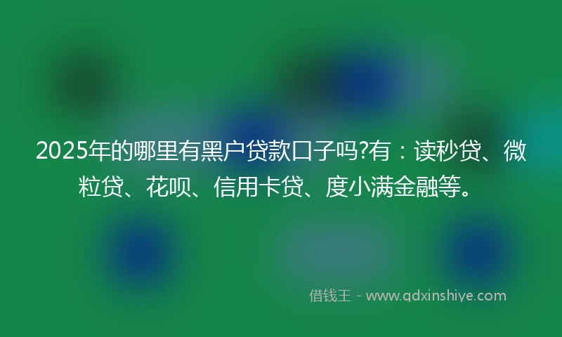 2025年的哪里有黑户贷款口子吗?有：读秒贷、微粒贷、花呗、信用卡贷、度小满金融等。